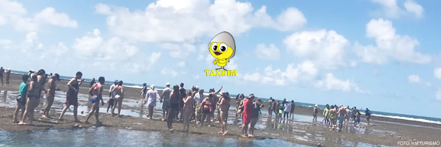 TaxSim Porto de Galinhas